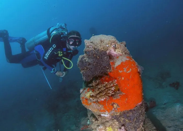 Reef Seen Divers' * Pemuteran (Bali)