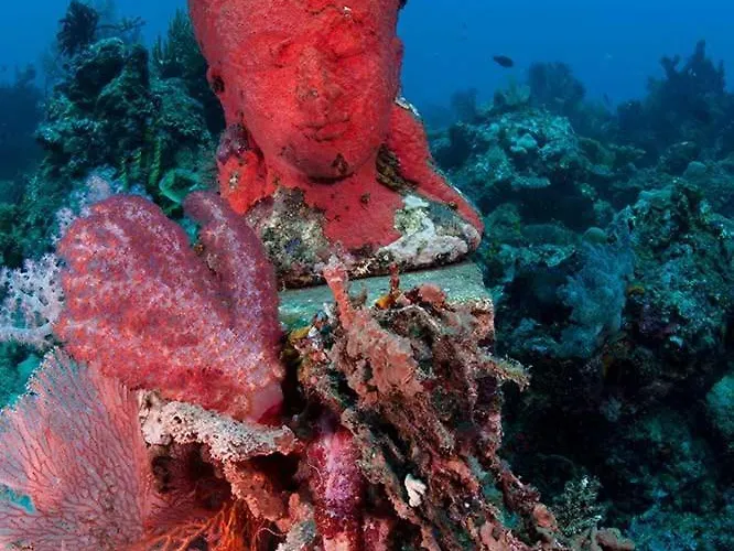 Reef Seen Divers' Resort *