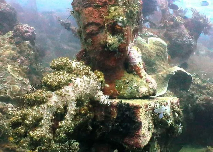 Resort Reef Seen Divers'