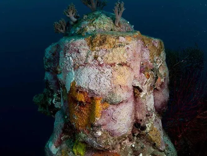 Reef Seen Divers' Resort Pemuteran (Bali)