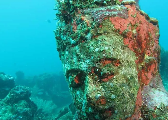 Reef Seen Divers' *