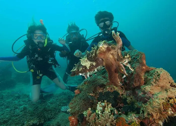 Resort Reef Seen Divers' Pemuteran (Bali)