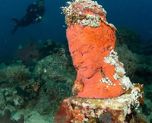 Reef Seen Divers' *