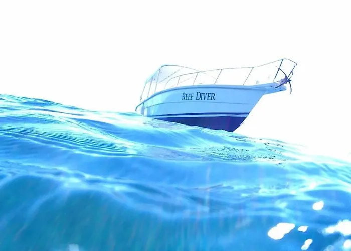 Resort Reef Seen Divers' *