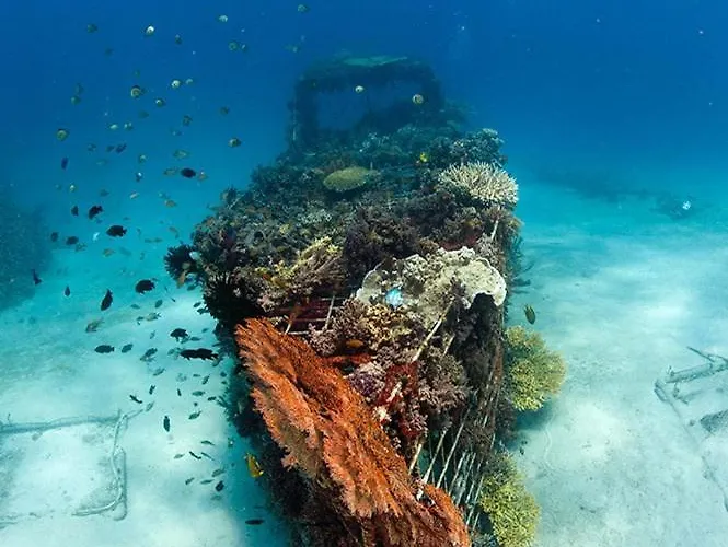 Reef Seen Divers' * Pemuteran (Bali)